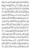 sayfa-443